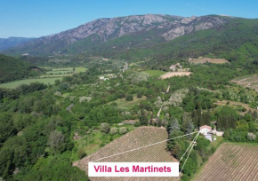 Villa Les Martinets - Voie Verte Passa Pais-Gorges d'Héric-Massif du Caroux-Chambre d'hôte